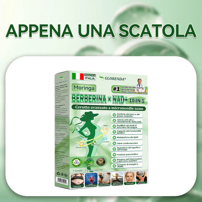 Negozio Ufficiale | 🍉🍉 GLORENDA® Moringa · Berberine × NAD+ 10-in-1 Cerotto Avanzato Nano Microneedle ✅ Per obesità, pelle rilassata, diabete, apnea notturna, problemi articolari e molto altro