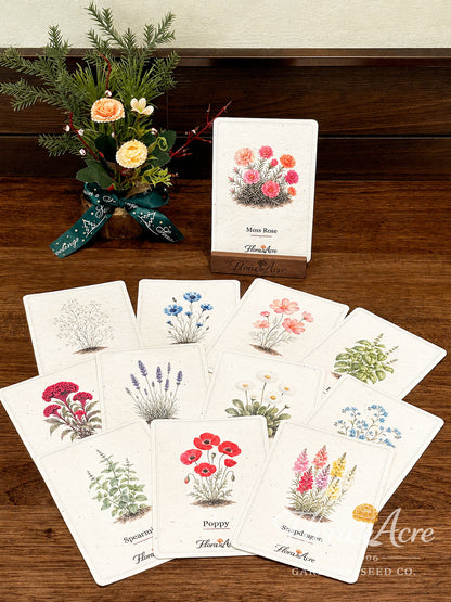 ✨Early Holiday Sale 45% OFF🌱Eco-Friendly  Plantable Seed Cards