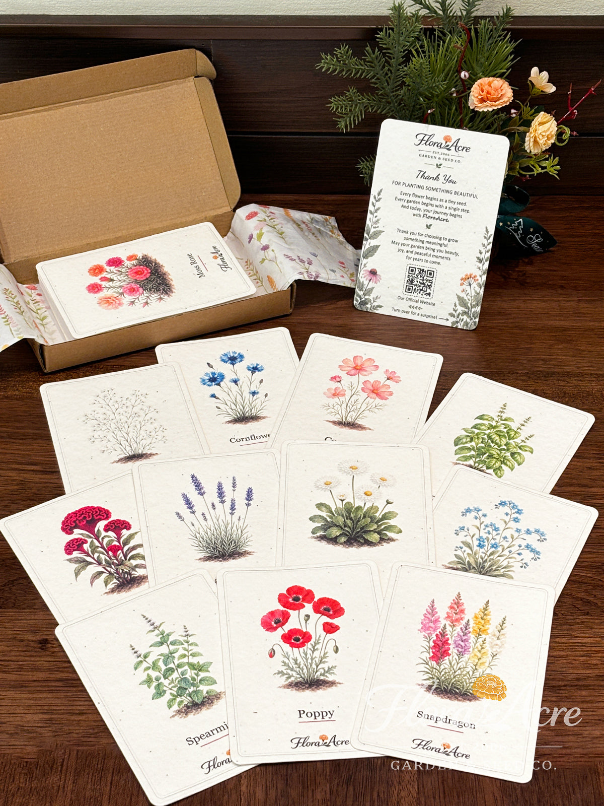 ✨Early Holiday Sale 45% OFF🌱Eco-Friendly  Plantable Seed Cards