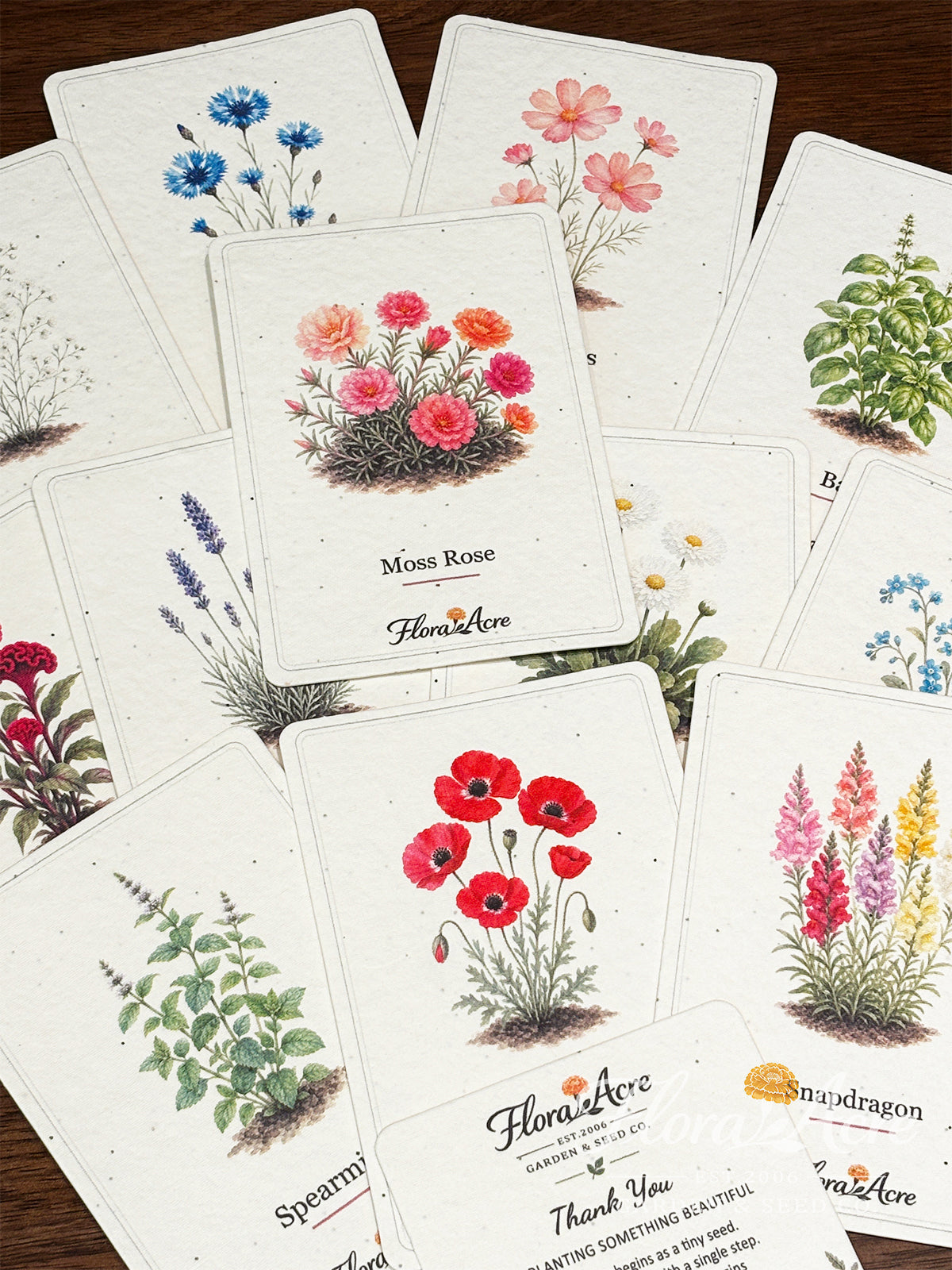 ✨Early Holiday Sale 45% OFF🌱Eco-Friendly  Plantable Seed Cards