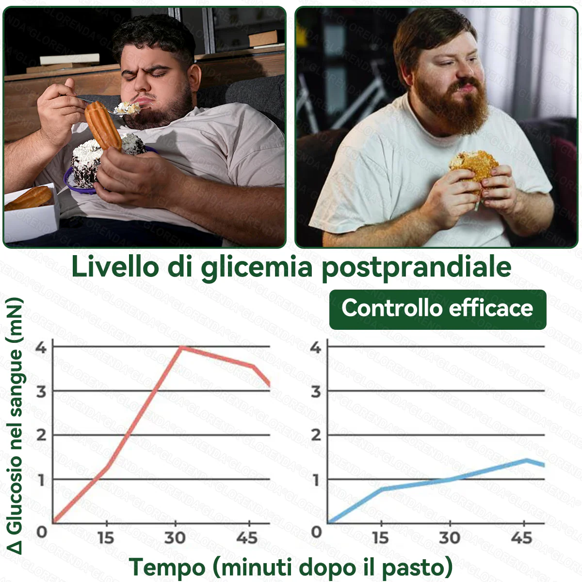Negozio Ufficiale | 🍉🍉 GLORENDA® Moringa · Berberine × NAD+ 10-in-1 Cerotto Avanzato Nano Microneedle ✅ Per obesità, pelle rilassata, diabete, apnea notturna, problemi articolari e molto altro