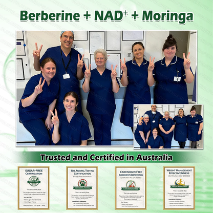 Negozio Ufficiale | 🍉🍉 GLORENDA® Moringa · Berberine × NAD+ 10-in-1 Cerotto Avanzato Nano Microneedle ✅ Per obesità, pelle rilassata, diabete, apnea notturna, problemi articolari e molto altro